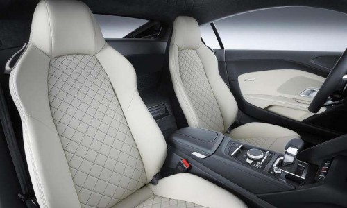 Audi R8 in russia (23)
